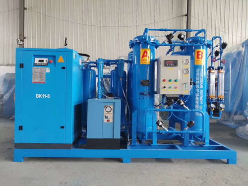 水產(chǎn)養(yǎng)殖制氧機增氧設(shè)備 大型工業(yè)制氧設(shè)備 psa分子篩制氧機